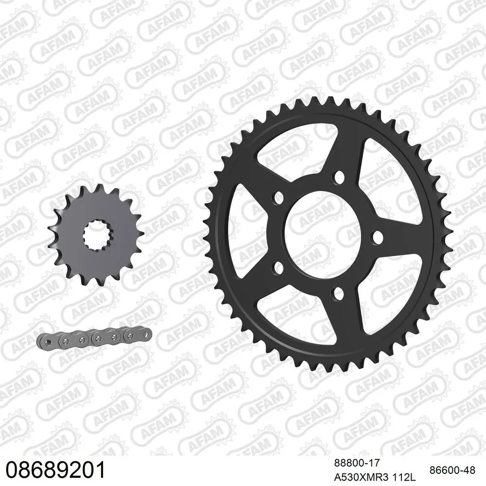 08689201 AFAM Kettensatz Stahl 530 XMR3 17x48 - Triumph Daytona 1000 1991-92 - 08689201