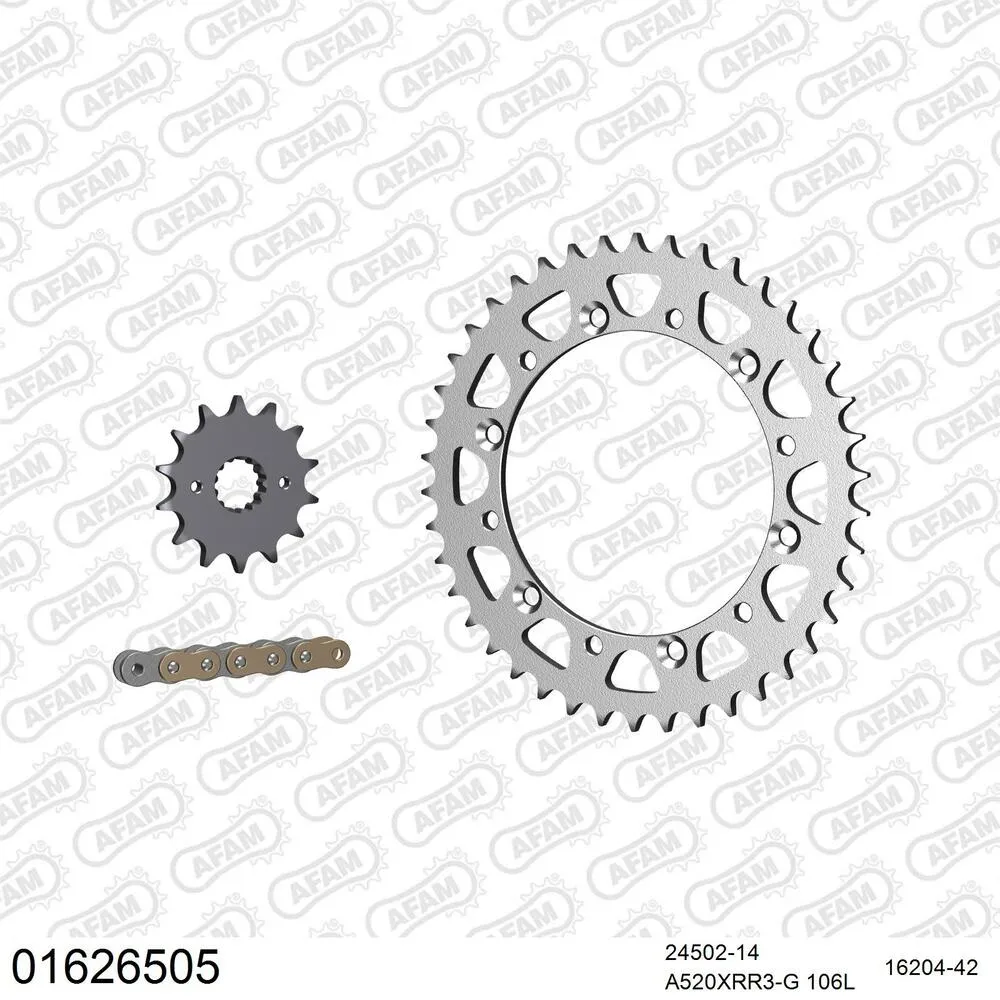 AFAM Kettensatz Stahl 520 XRR3-G 14x42 - Kawasaki KLX 250 S 2006-14 - 01626505