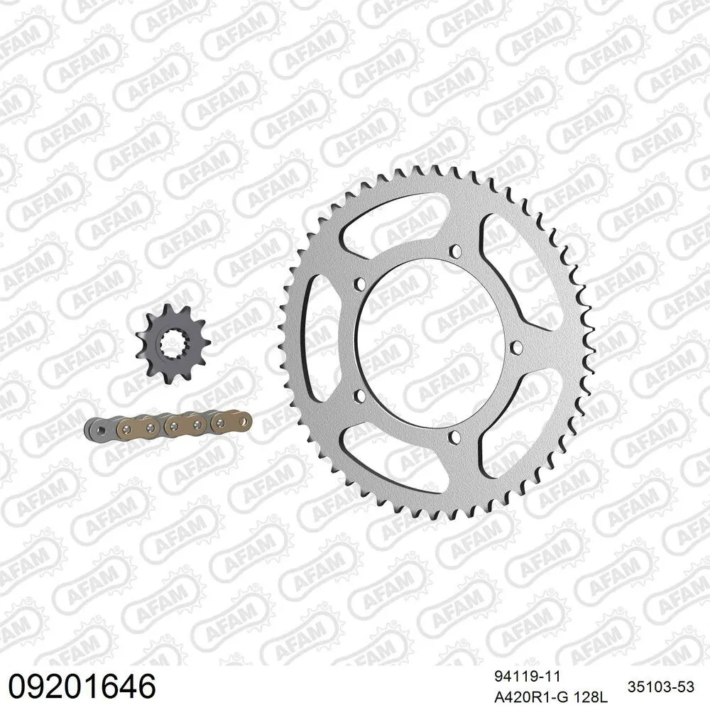 AFAM Kettensatz Stahl 420 R1-G 11x53 - Ride THORN 50 2007-12 - 09201646