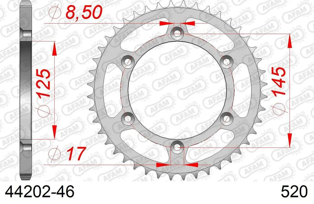 AFAM Kettensatz Stahl 520 XLR2 13x46 - Cagiva 125 W8 1996 - 04413605