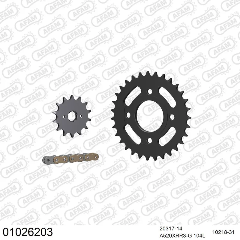 01026203 AFAM Kettensatz Stahl 520 XRR3-G 14x31 - Honda CB 250 Two Fifty 1992-05 - 01026203
