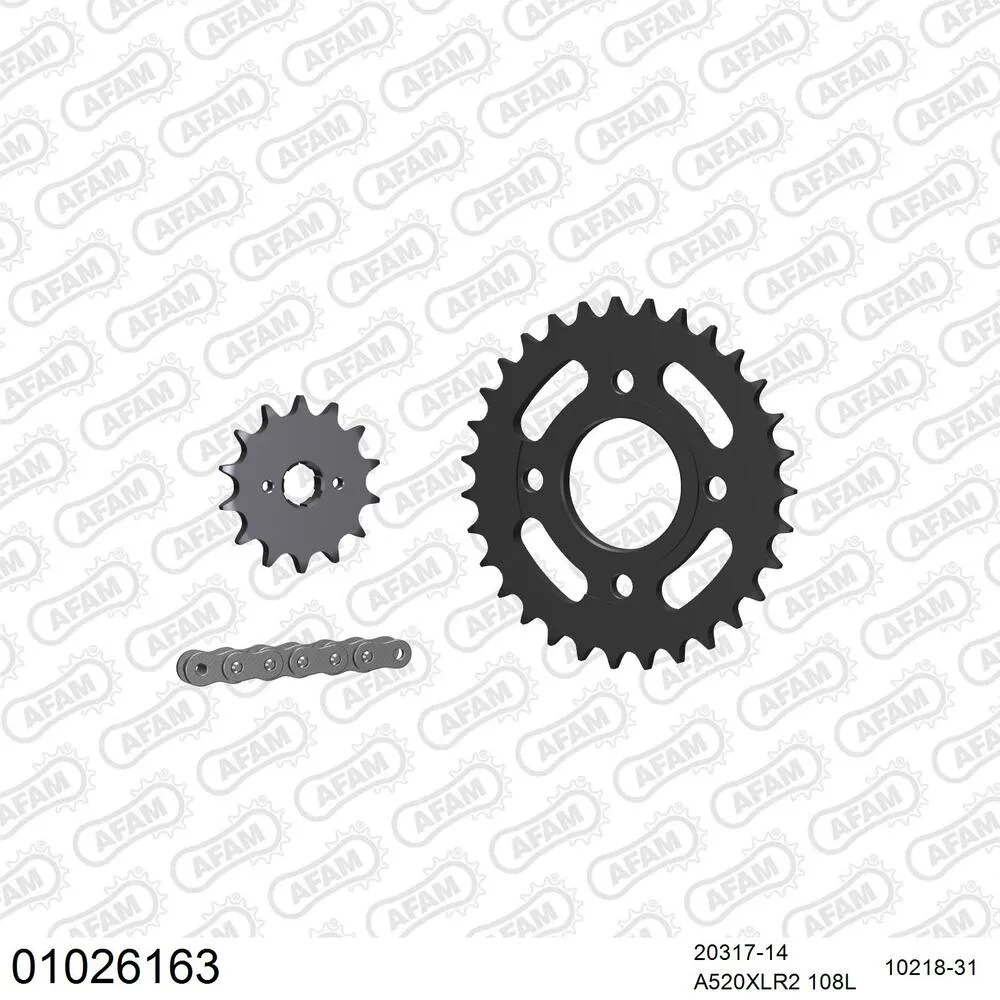 AFAM Kettensatz Stahl 520 XLR2 14x31 - Honda CMX 250 C 1996-00 - 01026163