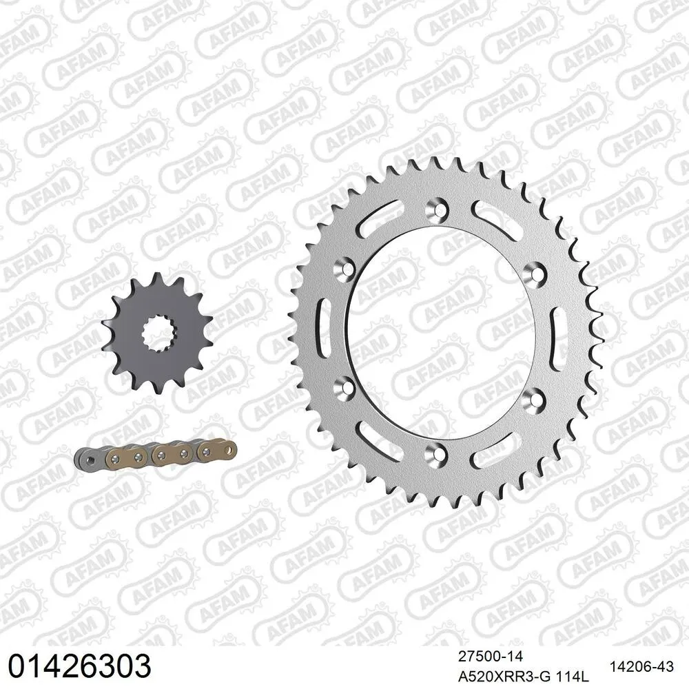 AFAM Kettensatz Stahl 520 XRR3-G 14x43 - Suzuki RGV 250 1991-96 - 01426303