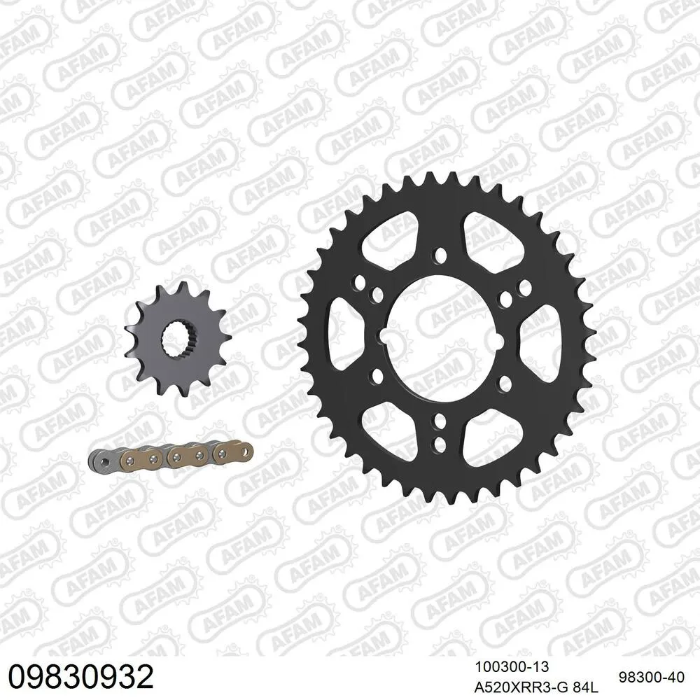 09830932 AFAM Kettensatz Stahl 520 XRR3-G 13x40 - Polaris 300 Xplorer 1996-00 - 09830932