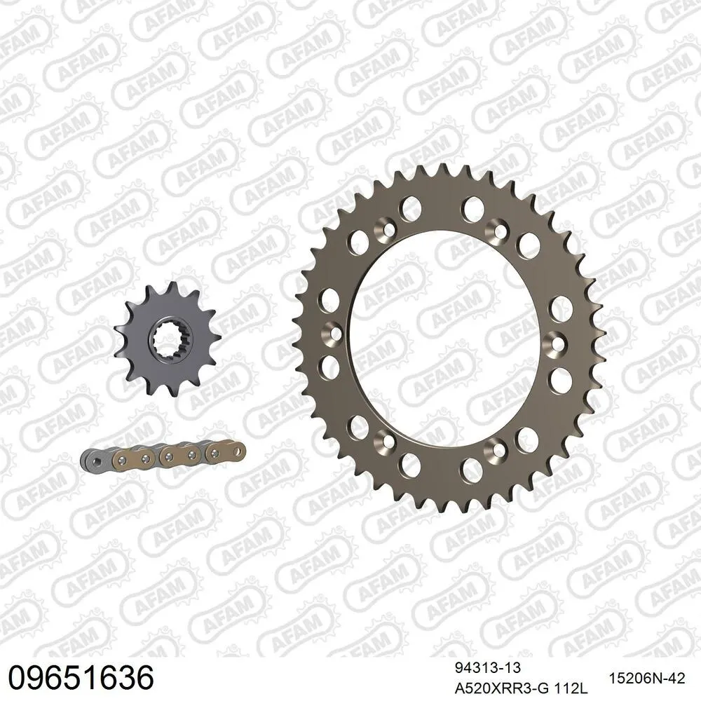 09651636 AFAM Kettensatz Aluminium 520 XRR3-G 13x42 - Gasgas SM 450 FSE Supermotard 2003-04 - 09651636