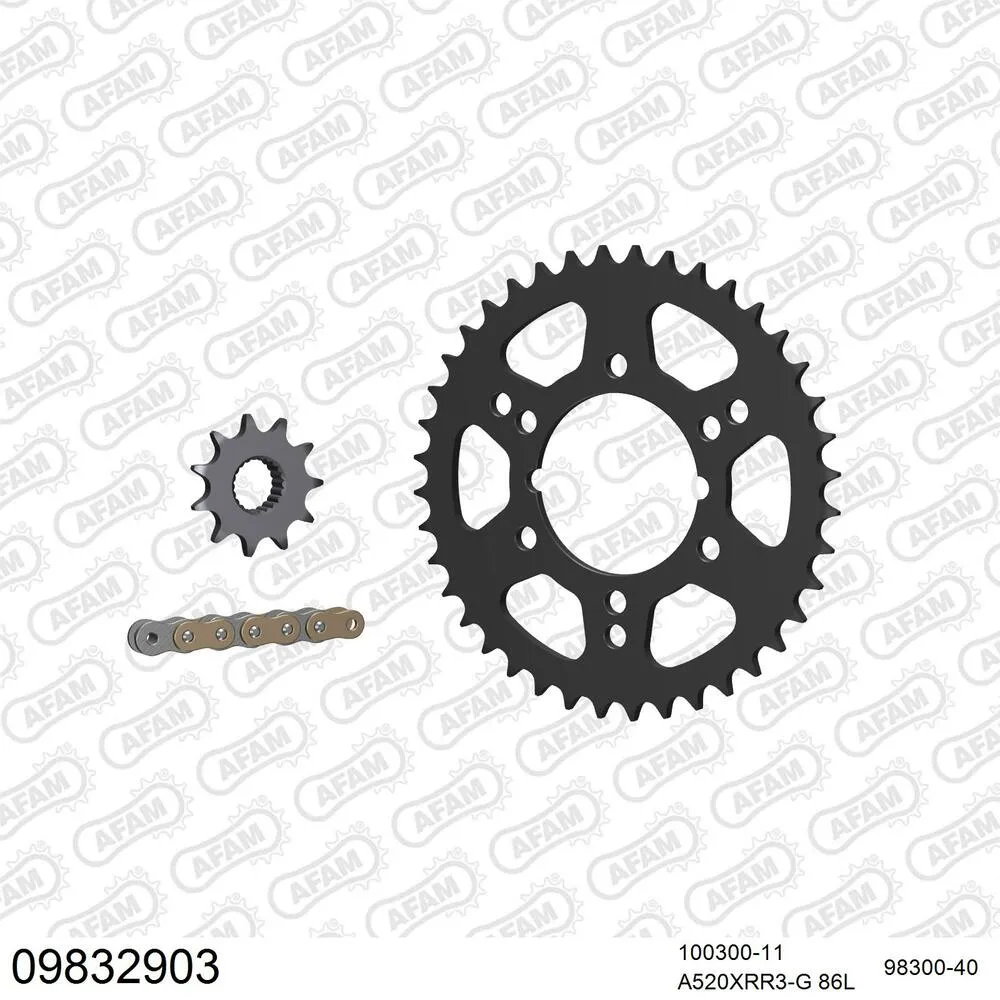 09832903 AFAM Kettensatz Stahl 520 XRR3-G 11x40 - Polaris 330 Trail Blazer 2008-12 - 09832903