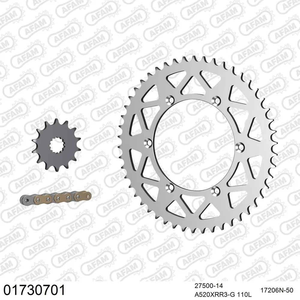 AFAM Kettensatz Aluminium 520 XRR3-G 14x50 - Kawasaki KLX 300 R 2002-07 - 01730701