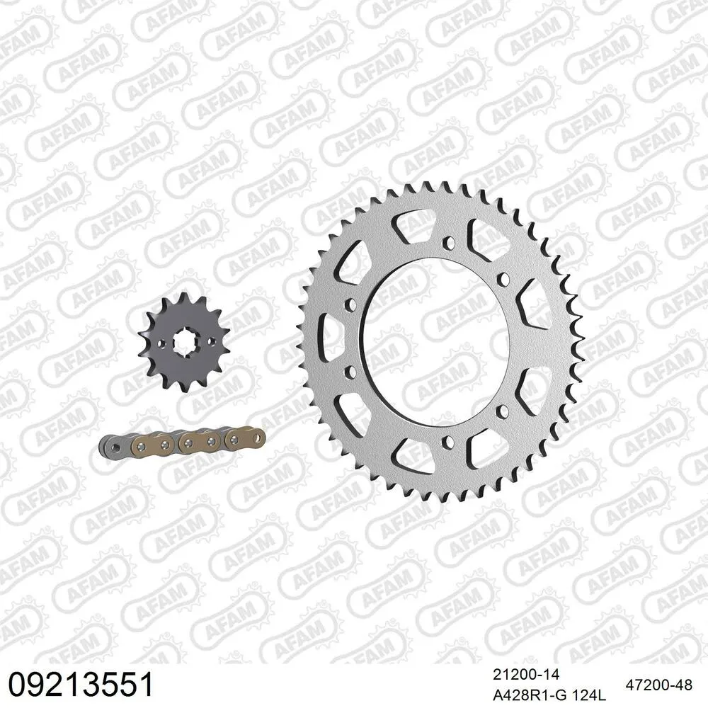 AFAM Kettensatz Stahl 428 R1-G 14x48 - Peugeot XPS 125 CT 2005-07 - 09213551