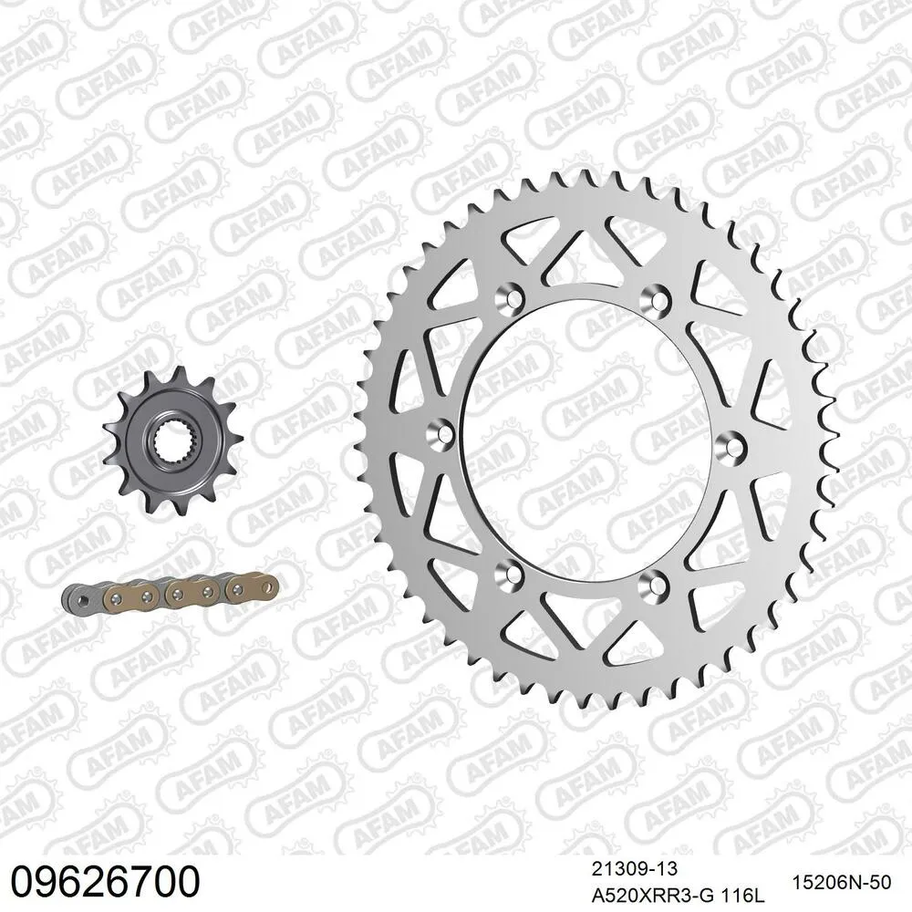 09626700 AFAM Kettensatz Aluminium 520 XRR3-G 13x50 - Gasgas EC 250 F 2010-12 - 09626700