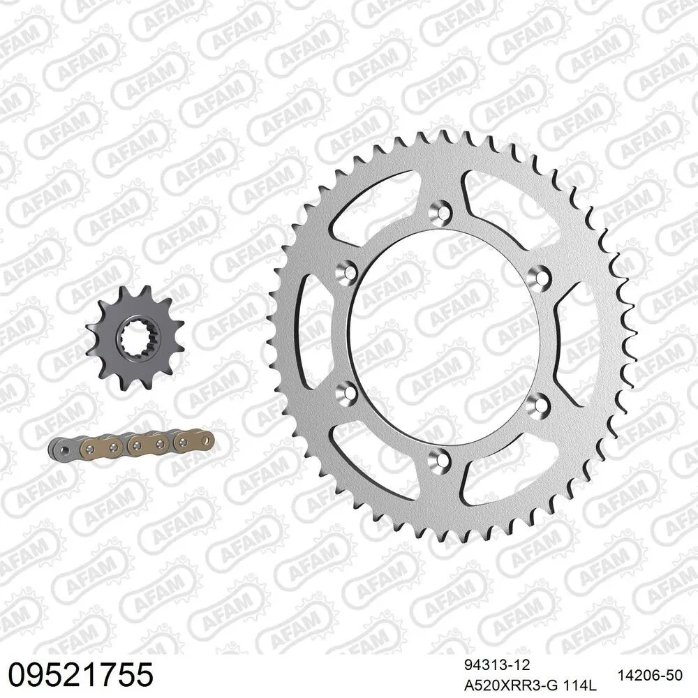 09521755 AFAM Kettensatz Stahl 520 XRR3-G 12x50 - Gasgas EC 200 E4 2019-20 - 09521755