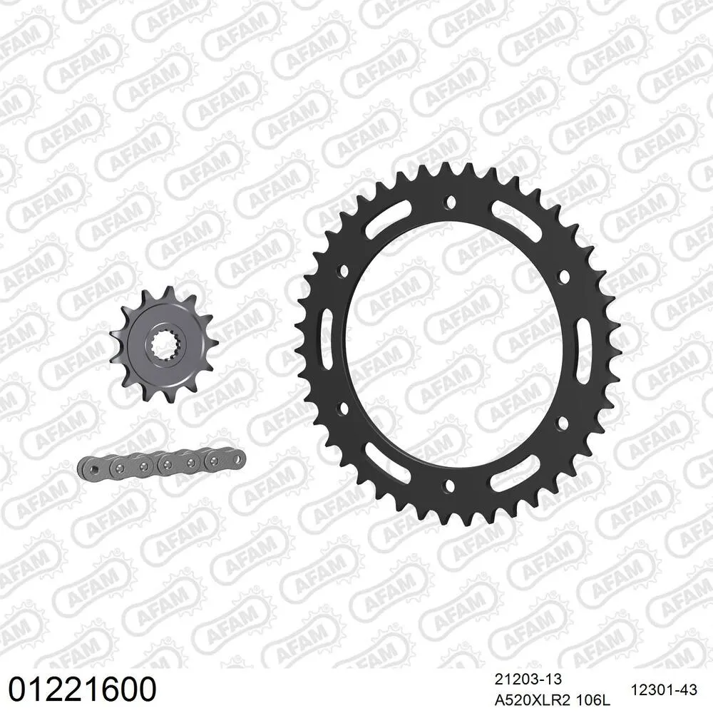 AFAM Kettensatz Stahl 520 XLR2 13x43 - Yamaha DT 200 R 1988-95 - 01221600