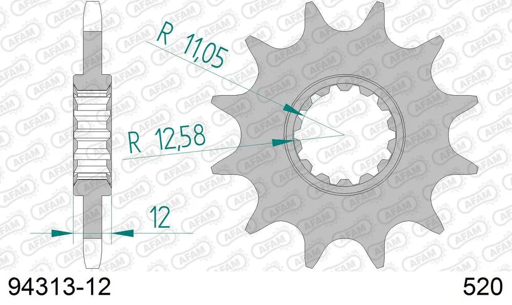 94313-12 AFAM Kettensatz Stahl 520 XRR3-G 12x48 - Gasgas EC 200 2003-17 - KIT108701