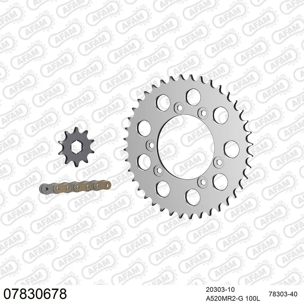 AFAM Kettensatz Aluminium 520 MR2-G 10x40 - Montesa 314 R 1994-96 - 07830678