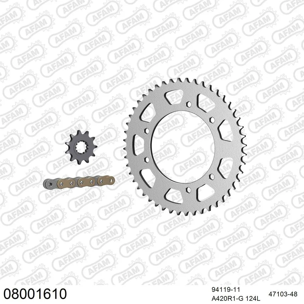 08001610 AFAM Kettensatz Stahl 420 R1-G 11x48 - Rieju MRX 50 2003-04 - 08001610
