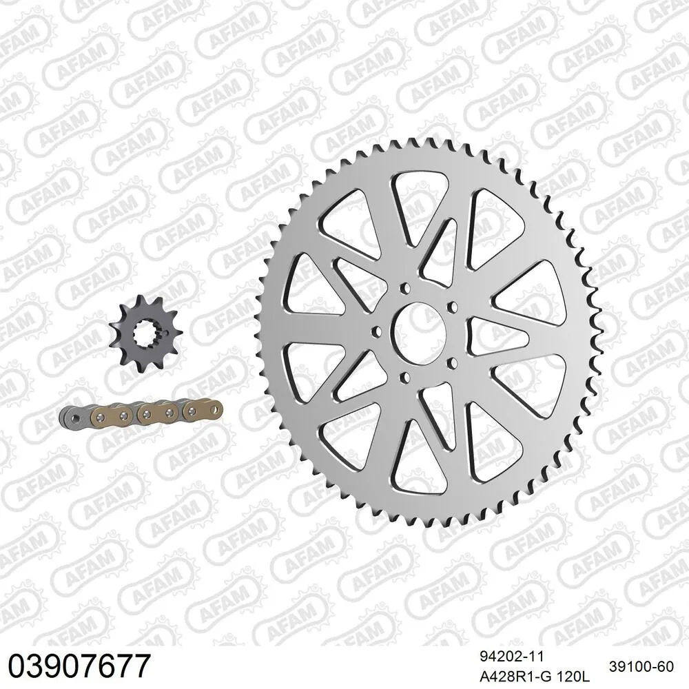 03907677 AFAM Kettensatz Aluminium 428 R1-G 11x60 - Beta Evo 80 Senior 2009-20 - 03907677