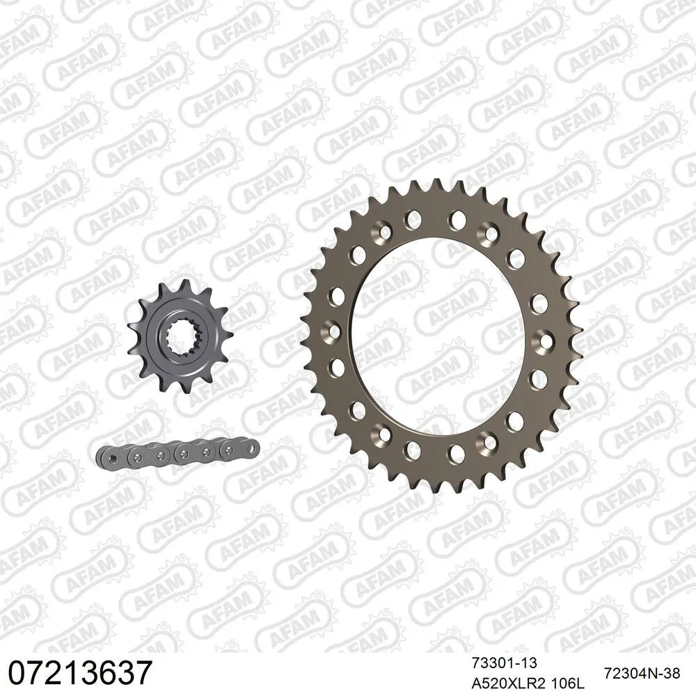 07213637 AFAM Kettensatz Aluminium 520 XLR2 13x38 - KTM SM 125 2000-01 - 07213637