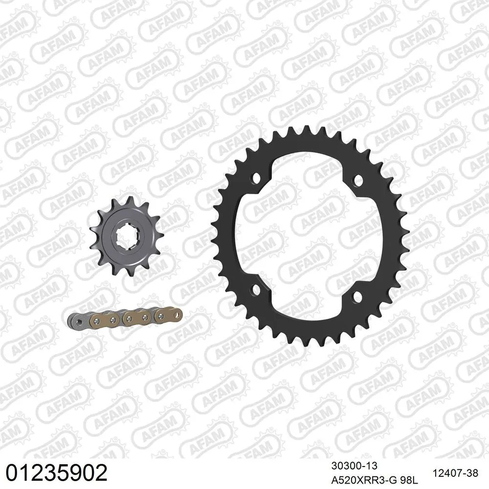 01235902 AFAM Kettensatz Stahl 520 XRR3-G 13x38 - Yamaha YFM 350 R Raptor 2004-13 - 01235902