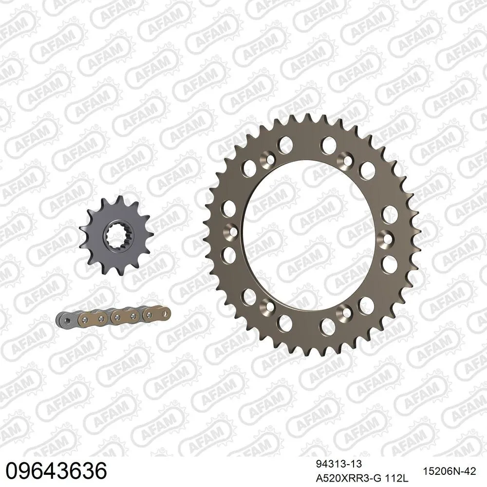 AFAM Kettensatz Aluminium 520 XRR3-G 13x42 - Gasgas SM 400 FSE 2001-02 - 09643636