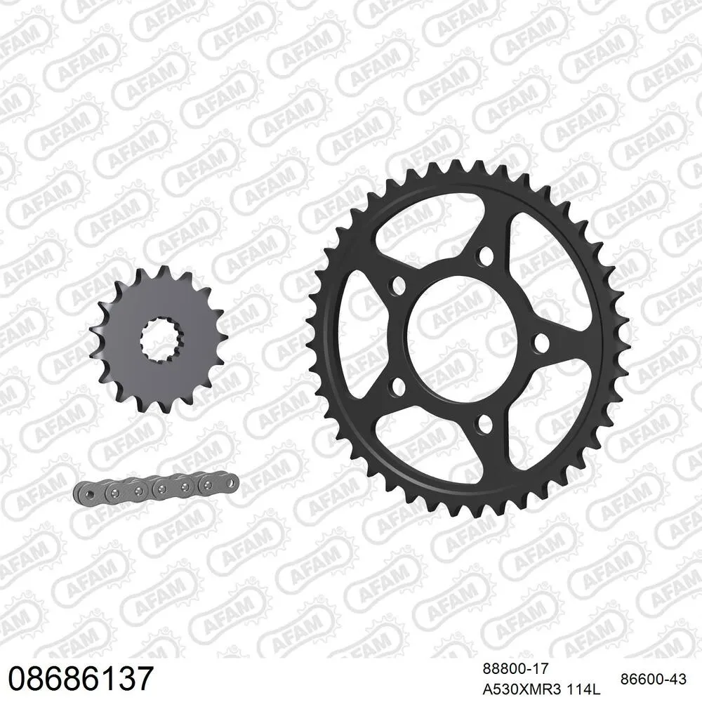 08686137 AFAM Kettensatz Stahl 530 XMR3 17x43 - Triumph TT 900 Legend 1998-01 - 08686137