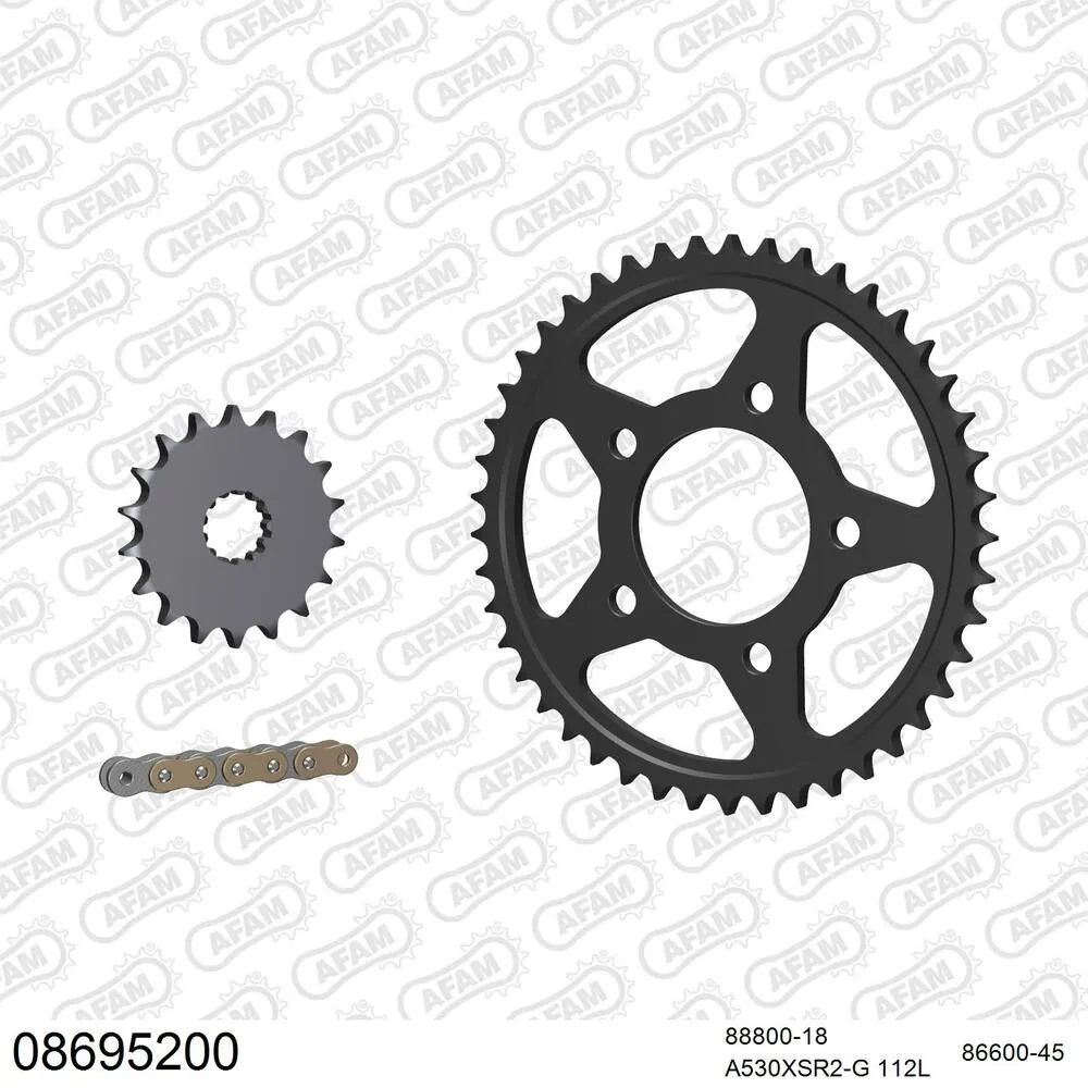 08695200 AFAM Kettensatz Stahl 530 XSR2-G 18x45 - Triumph Trophy 1200 1991-93 - 08695200