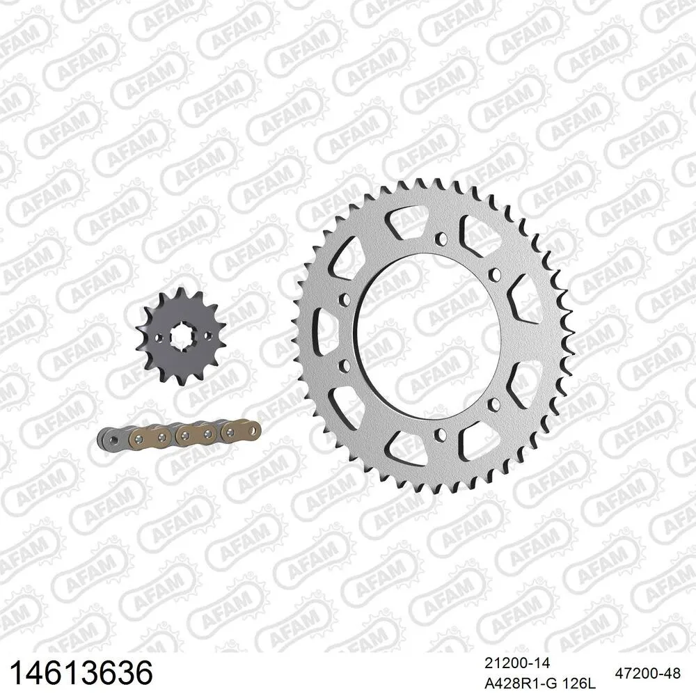 AFAM Kettensatz Stahl 428 R1-G 14x48 - Malaguti X3M 125 Motard 2008-10 - 14613636