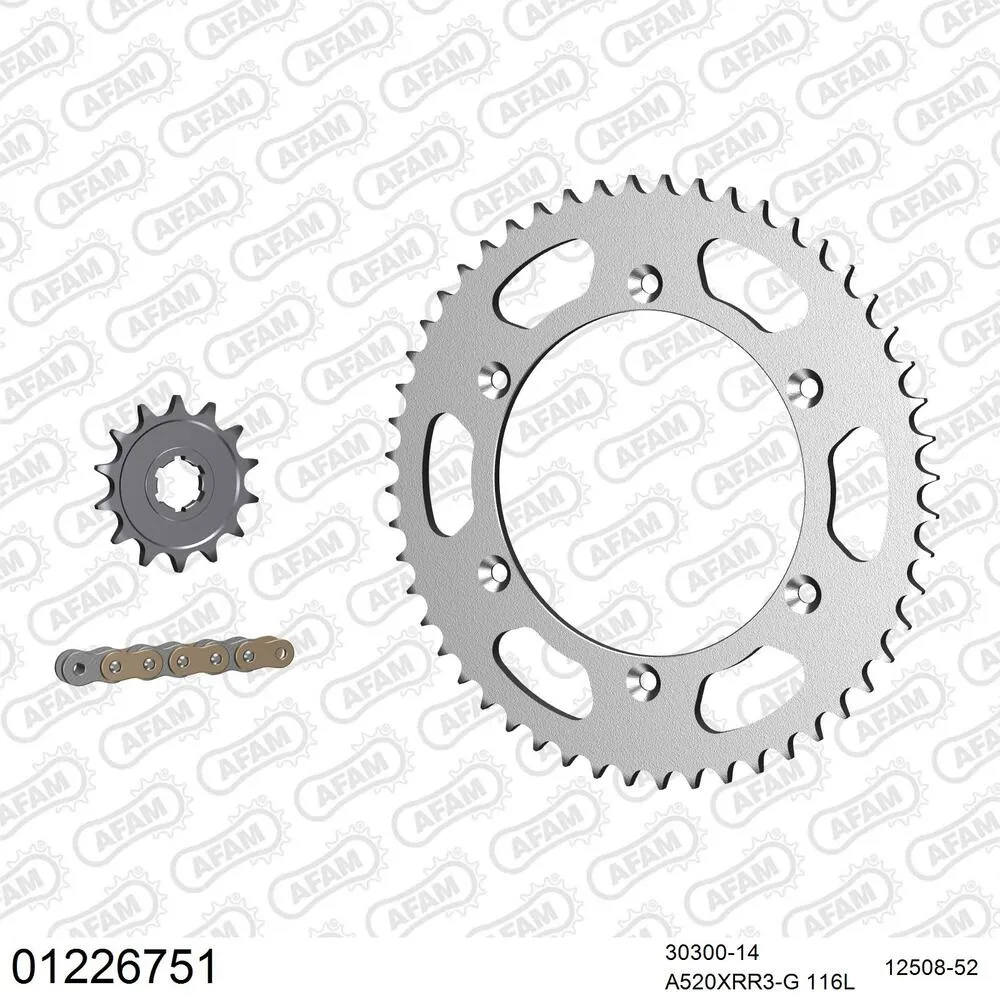 AFAM Kettensatz Stahl 520 XRR3-G 14x52 - Yamaha WR 250 Z 1991-97 - 01226751