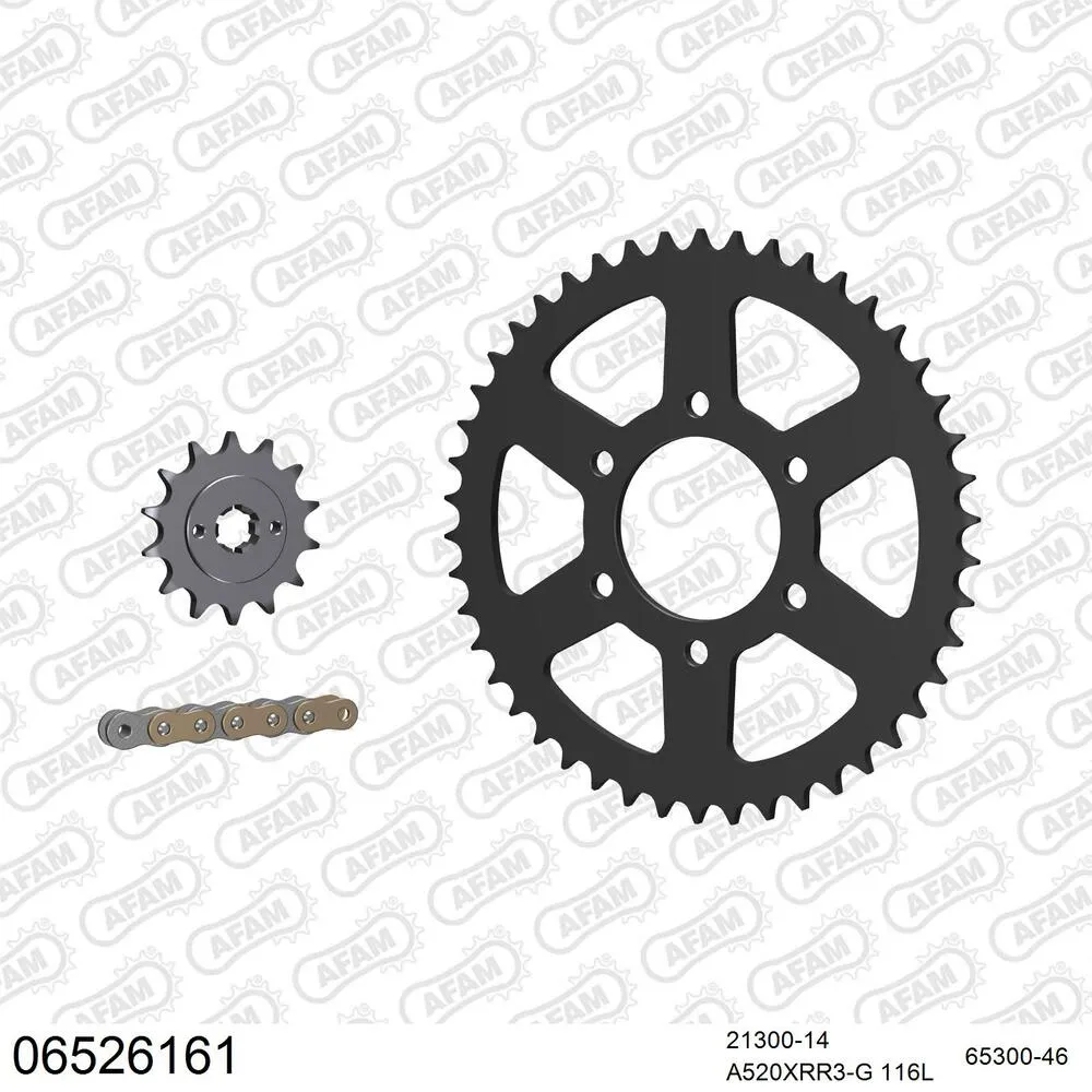 06526161 AFAM Kettensatz Stahl 520 XRR3-G 14x46 - Hyosung GV 250 Aquila 2004-15 - 06526161