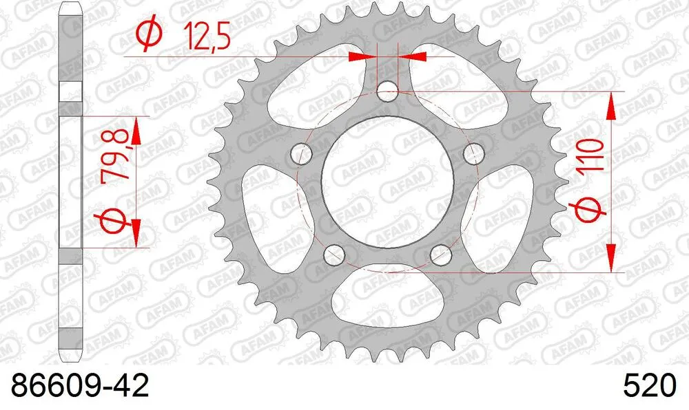 86609-42 AFAM Kettensatz Stahl 520 XSR-G 18x42 - Triumph America 865 2015-17 - KIT107951
