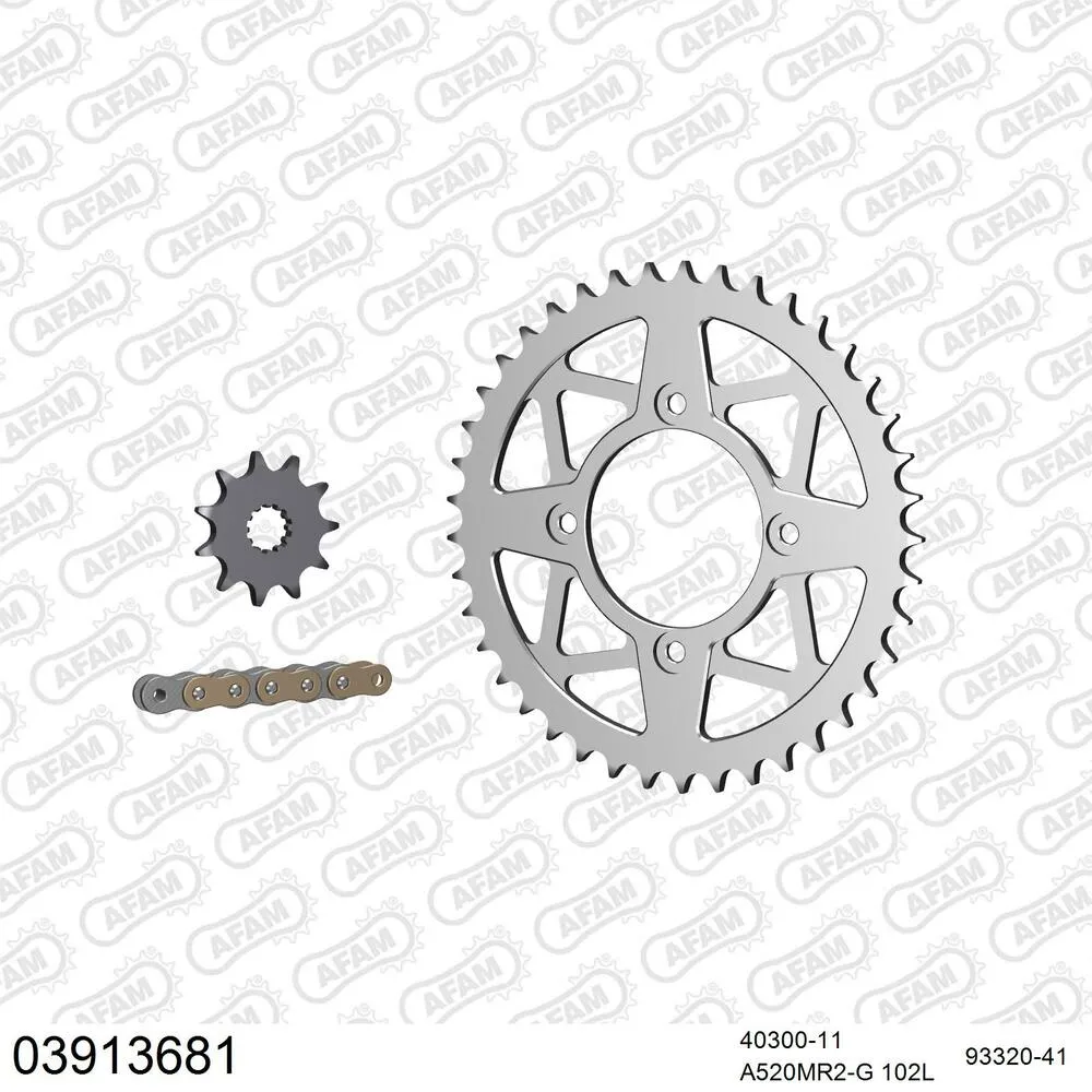AFAM Kettensatz Aluminium 520 MR2-G 11x41 - Beta Rev 3 125 2006 - 03913681