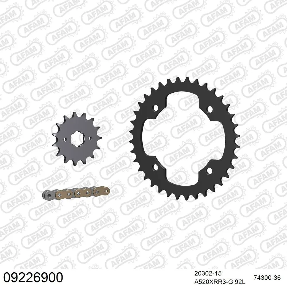 AFAM Kettensatz Stahl 520 XRR3-G 15x36 - TGB 250 Blade 2008-09 - 09226900