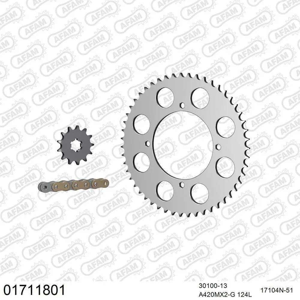 AFAM Kettensatz Aluminium 420 MX2-G 13x51 - Kawasaki KX 100 1998-13 - 01711801
