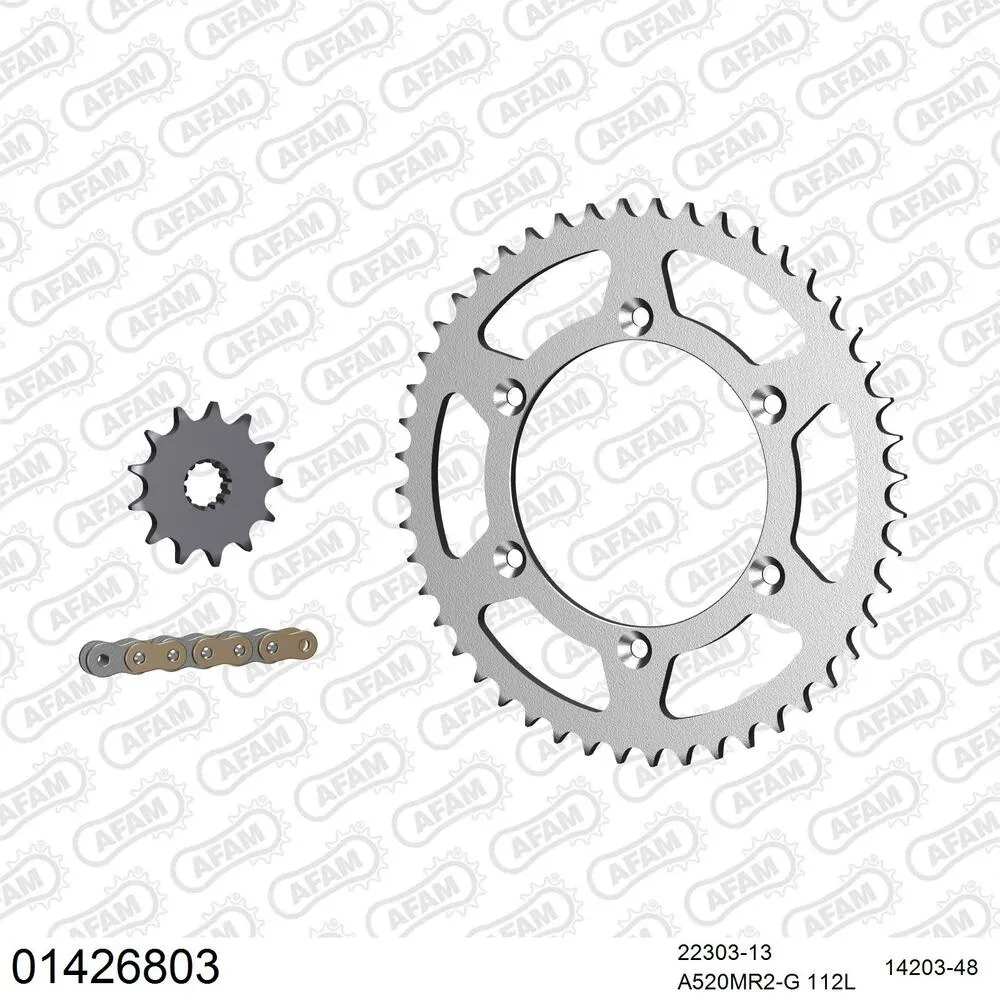 01426803 AFAM Kettensatz Stahl 520 MR2-G 13x48 - Suzuki RM 250 1999-00 - 01426803