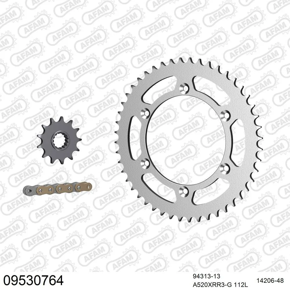 AFAM Kettensatz Stahl 520 XRR3-G 13x48 - Gasgas EC 300 E4 2018-20 - 09530764