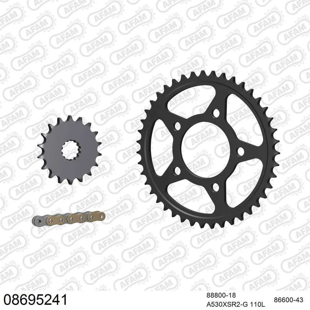 08695241 AFAM Kettensatz Stahl 530 XSR2-G 18x43 - Triumph Daytona 1200 1994-98 - 08695241