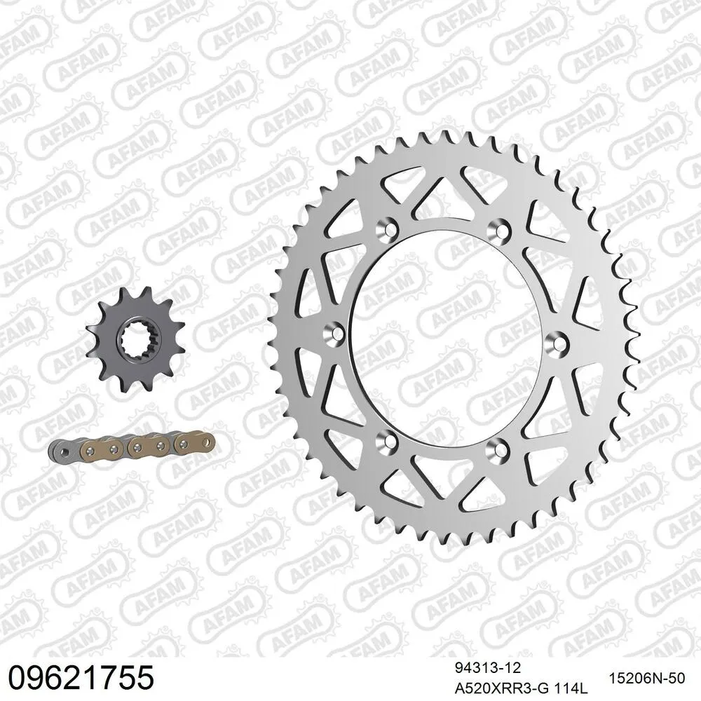 09621755 AFAM Kettensatz Aluminium 520 XRR3-G 12x50 - Gasgas EC 200 E4 2019-20 - 09621755
