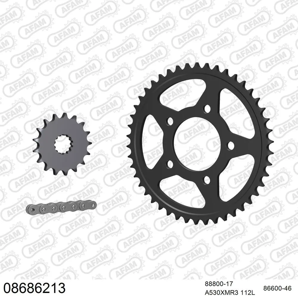 08686213 AFAM Kettensatz Stahl 530 XMR3 17x46 - Triumph Daytona 900 1993 - 08686213