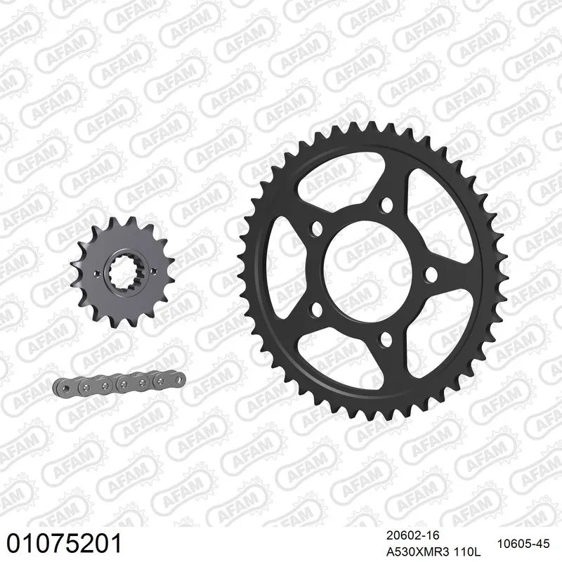01075201 AFAM Kettensatz Stahl 530 XMR3 16x45 - Honda VFR 700 F2 Interceptor 1986-87 - 01075201