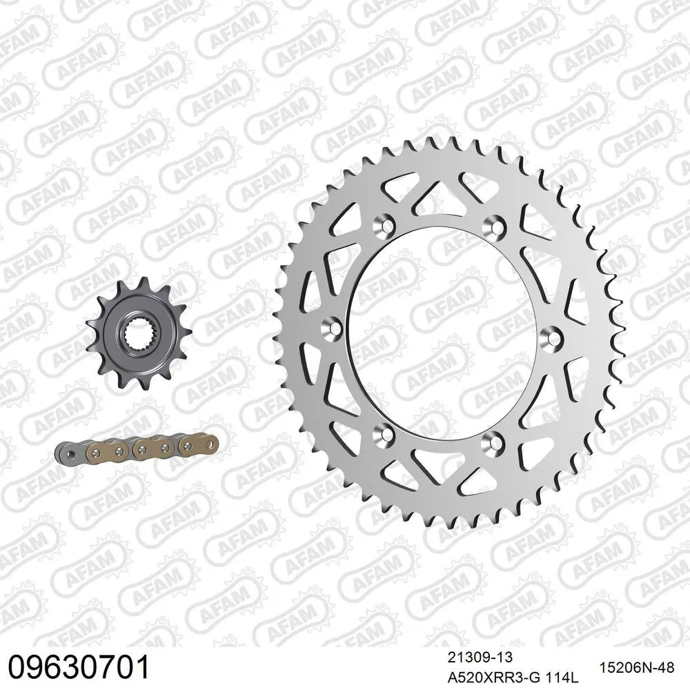 AFAM Kettensatz Aluminium 520 XRR3-G 13x48 - Gasgas EC 300 F 2014-15 - 09630701