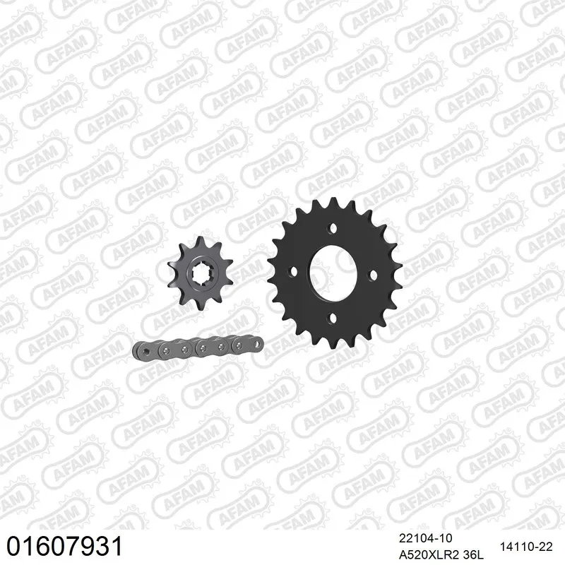 AFAM Kettensatz Stahl 520 XLR2 10x22 - Kawasaki KFX 80 2003-06 - 01607931
