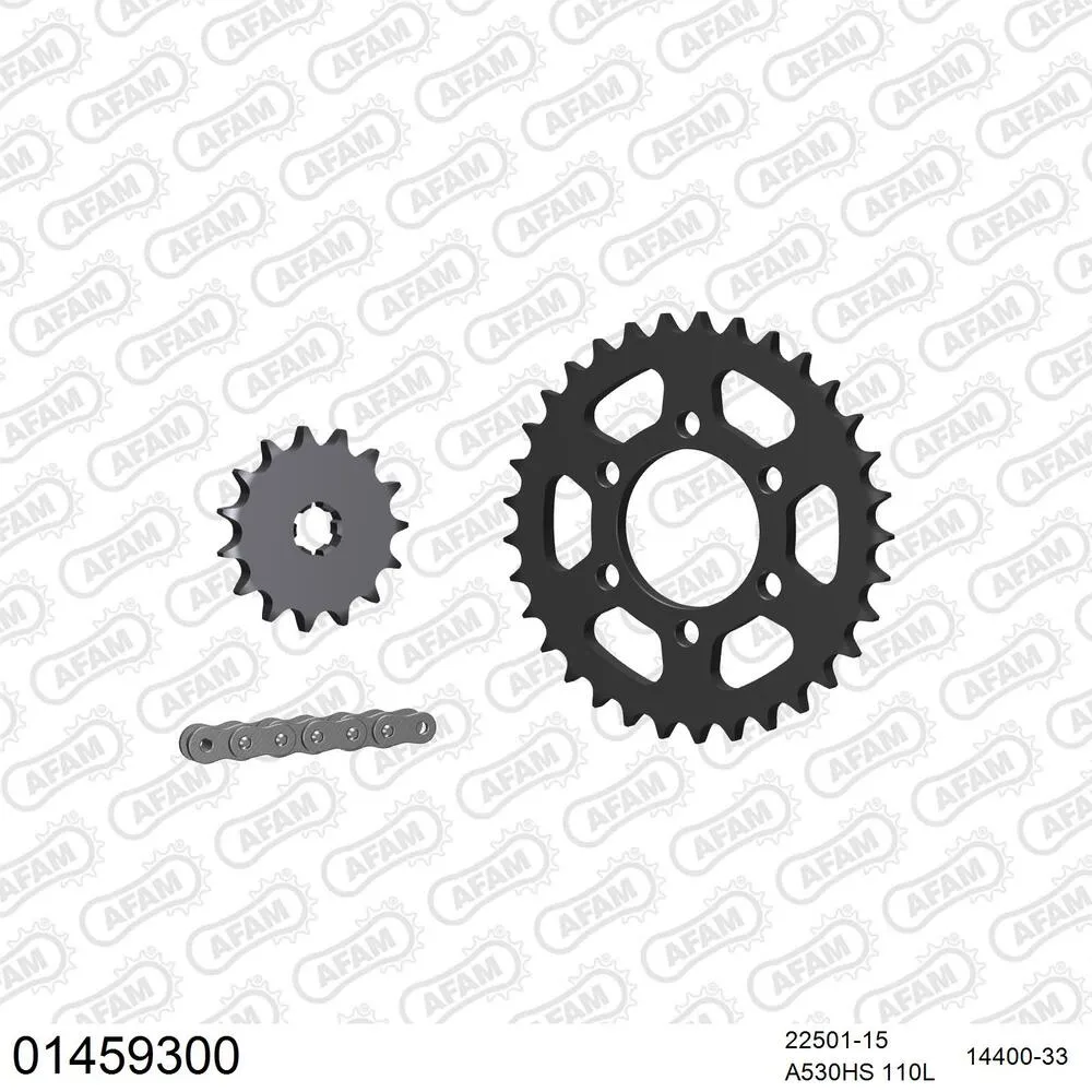 AFAM Kettensatz Stahl 530 HS 15x33 - Suzuki GT 500 1976-77 - 01459300