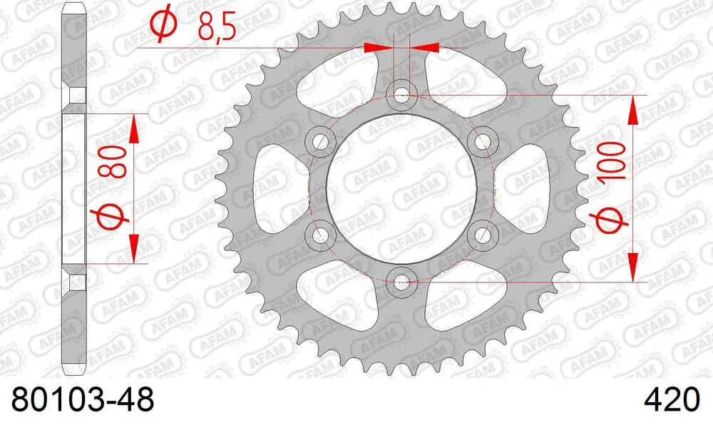 80103-48 AFAM Kettensatz Stahl 420 R1-G 12x48 - Rieju RR 50 Castrol 1999-02 - KIT108341