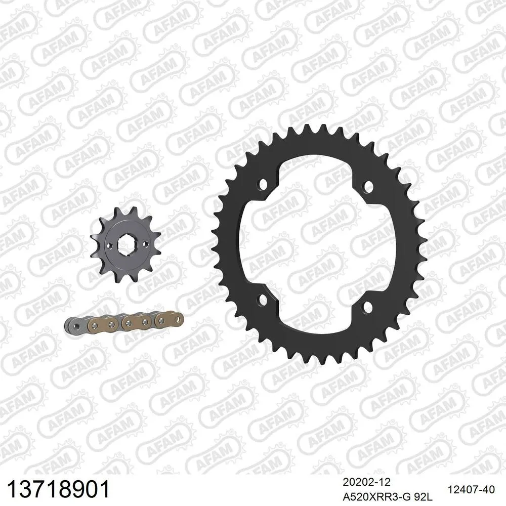 AFAM Kettensatz Stahl 520 XRR3-G 12x40 - SMC 170 Inverse Blast / Xroad 2005-06 - 13718901