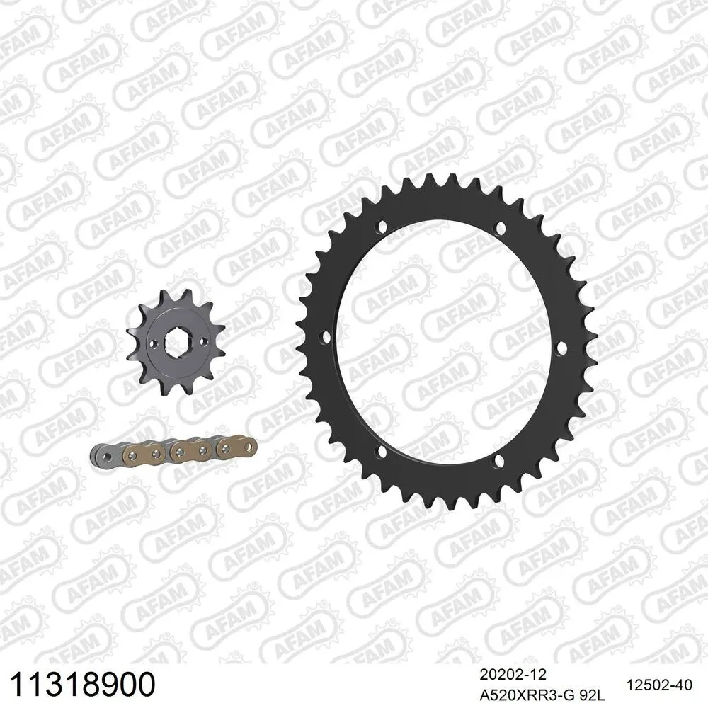 11318900 AFAM Kettensatz Stahl 520 XRR3-G 12x40 - Barossa 170 Baja 2003-06 - 11318900