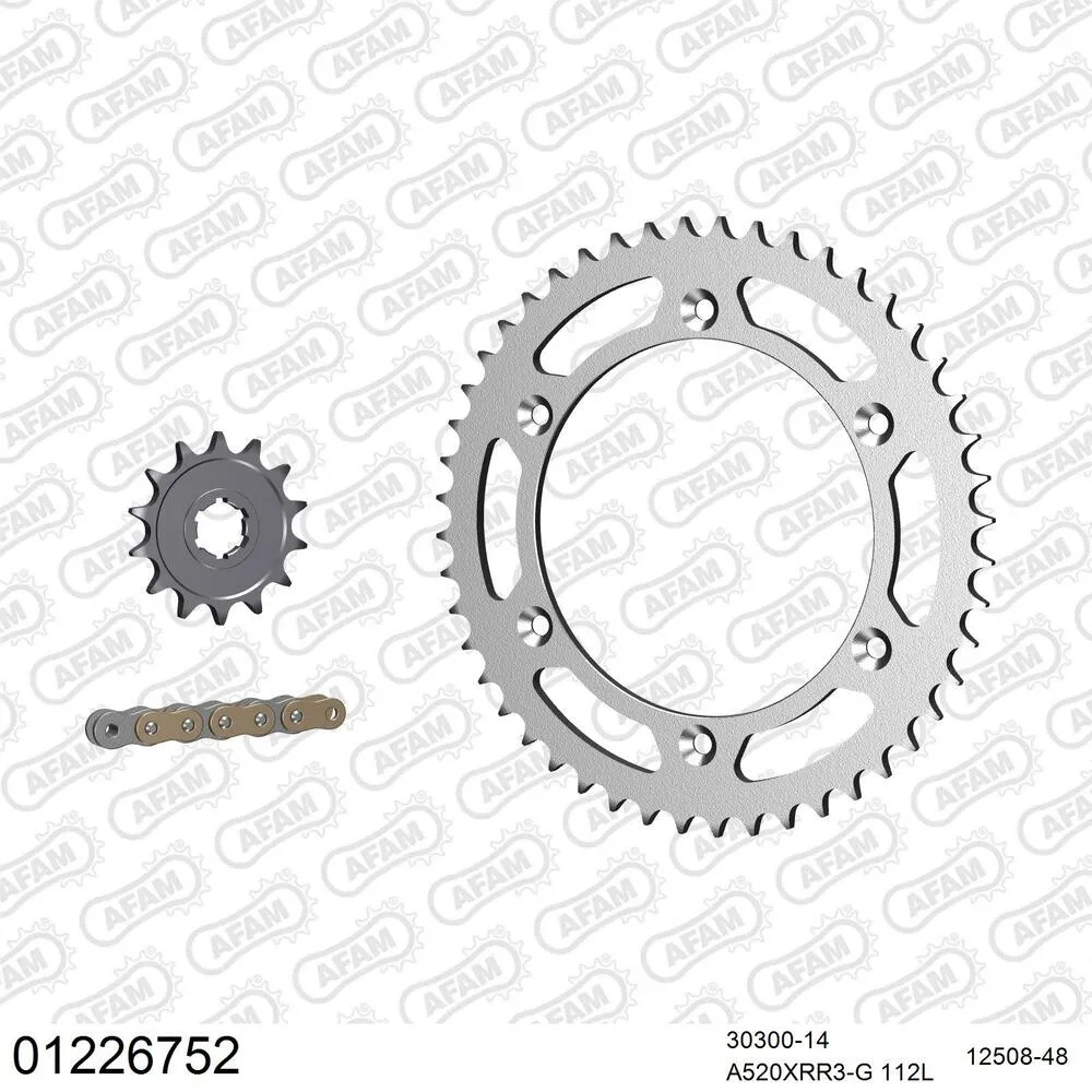 01226752 AFAM Kettensatz Stahl 520 XRR3-G 14x48 - Yamaha WR 250 Z 1998-99 - 01226752