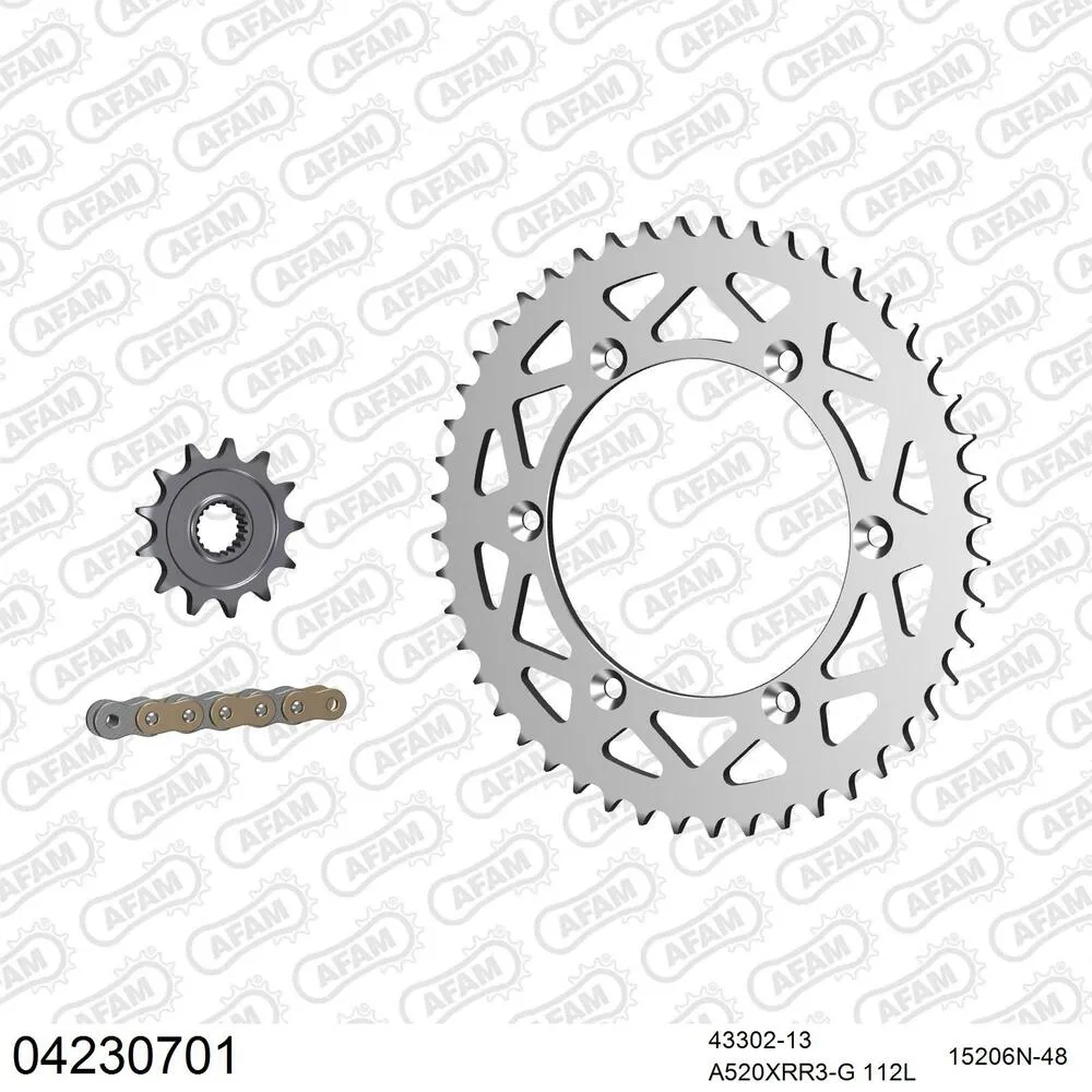 AFAM Kettensatz Aluminium 520 XRR3-G 13x48 - Sherco SE 3 i-F Enduro 2010-11 - 04230701