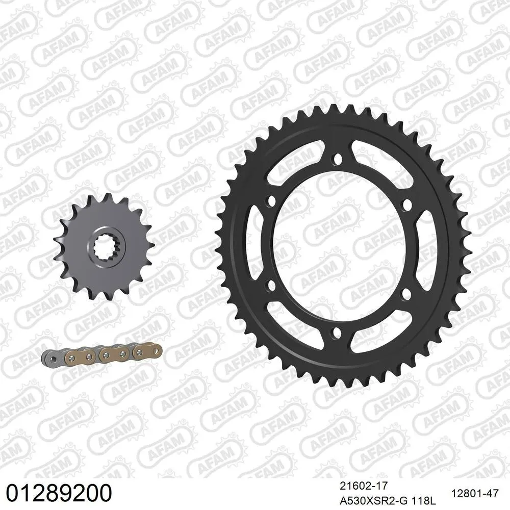 AFAM Kettensatz Stahl 530 XSR2-G 17x47 - Yamaha GTS 1000 1993-99 - 01289200