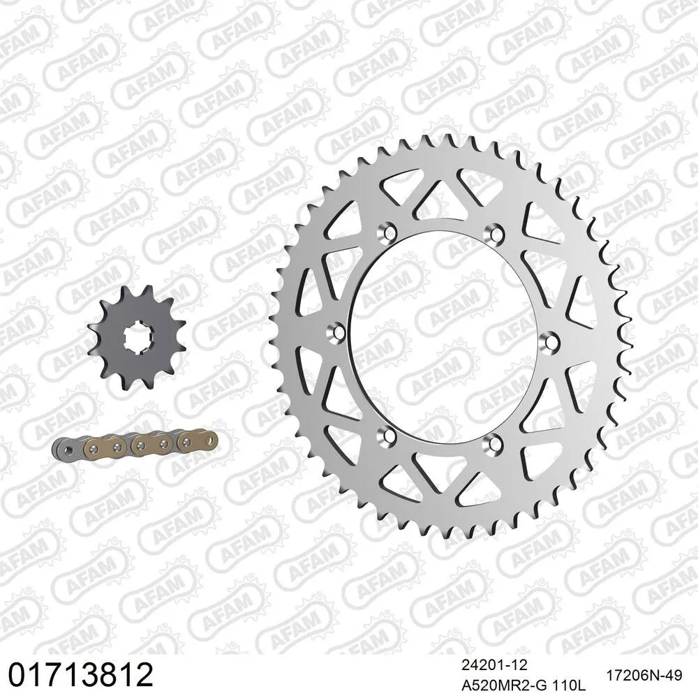 AFAM Kettensatz Aluminium 520 MR2-G 12x49 - Kawasaki KX 125 1994-95 - 01713812