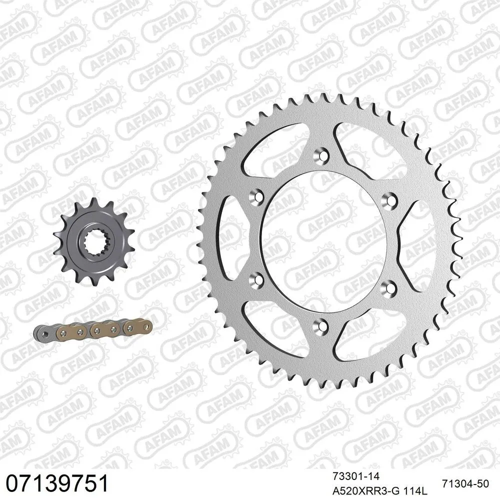 AFAM Kettensatz Stahl 520 XRR3-G 14x50 - KTM EXC 380 1998-03 - 07139751