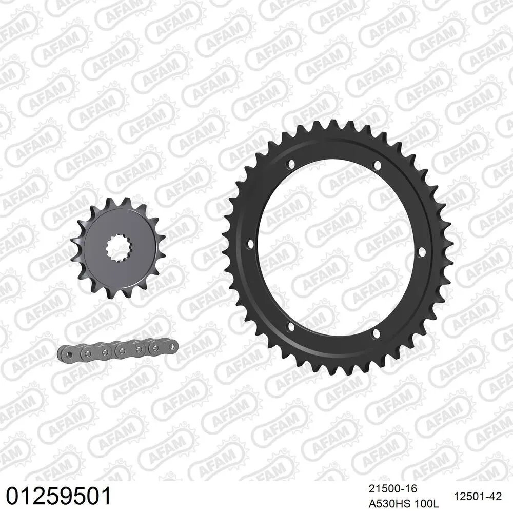 AFAM Kettensatz Stahl 530 HS 16x42 - Yamaha XT 500 1976-89 - 01259501