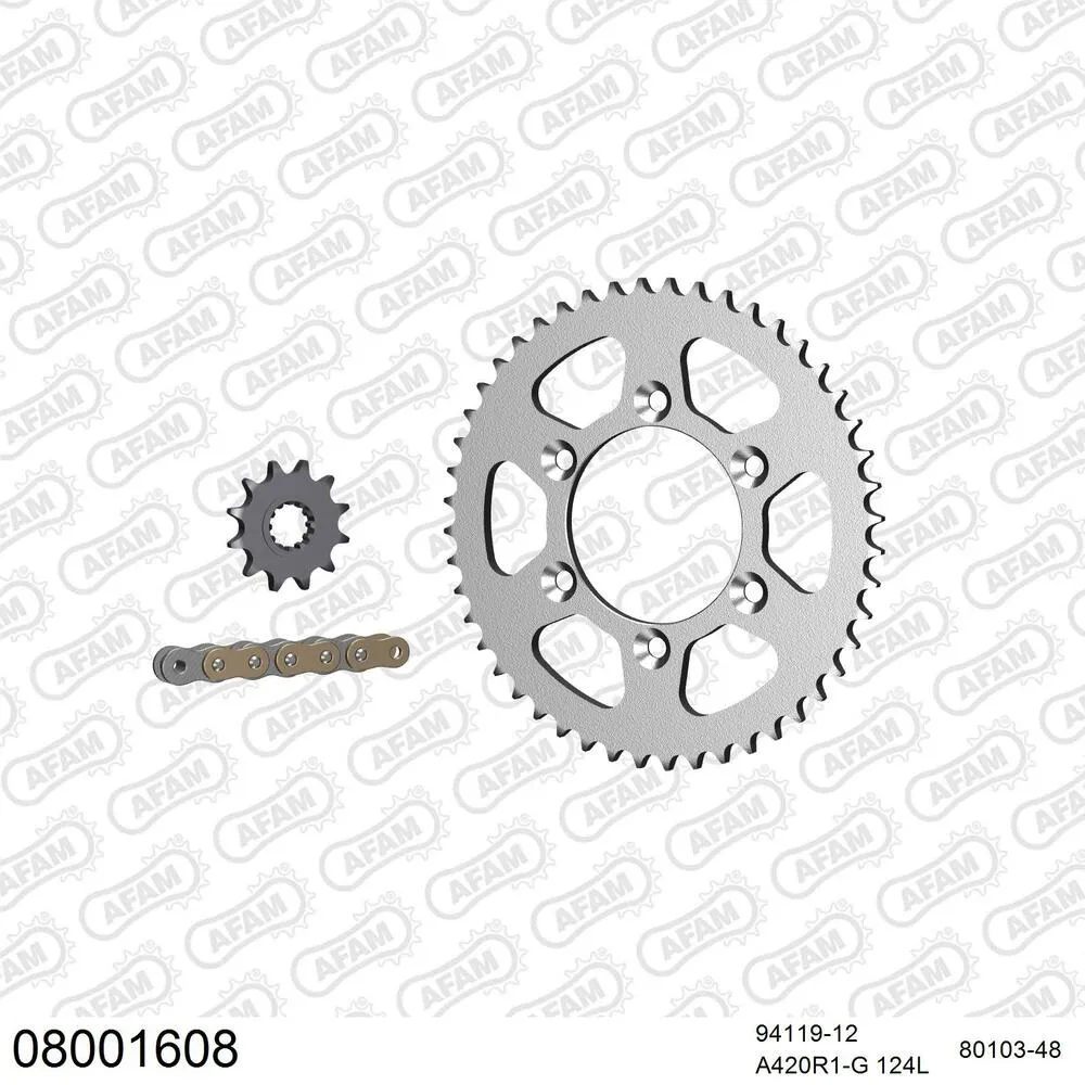 08001608 AFAM Kettensatz Stahl 420 R1-G 12x48 - Rieju RR 50 SM Spike 1999-02 - 08001608